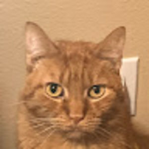 Meet your Posher, Eowyn